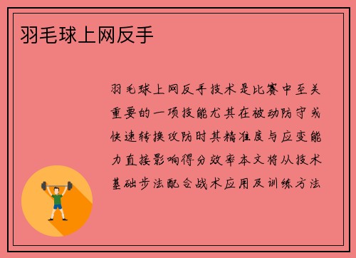 羽毛球上网反手