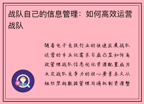 战队自己的信息管理：如何高效运营战队